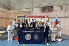 выкса.рф, В Выксе прошел открытый турнир по тхэквондо ИТФ «Железная роза»